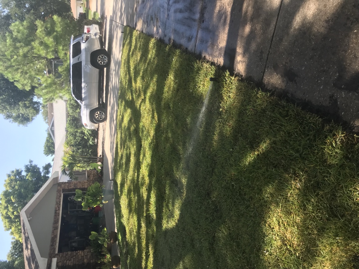 Sod Installation