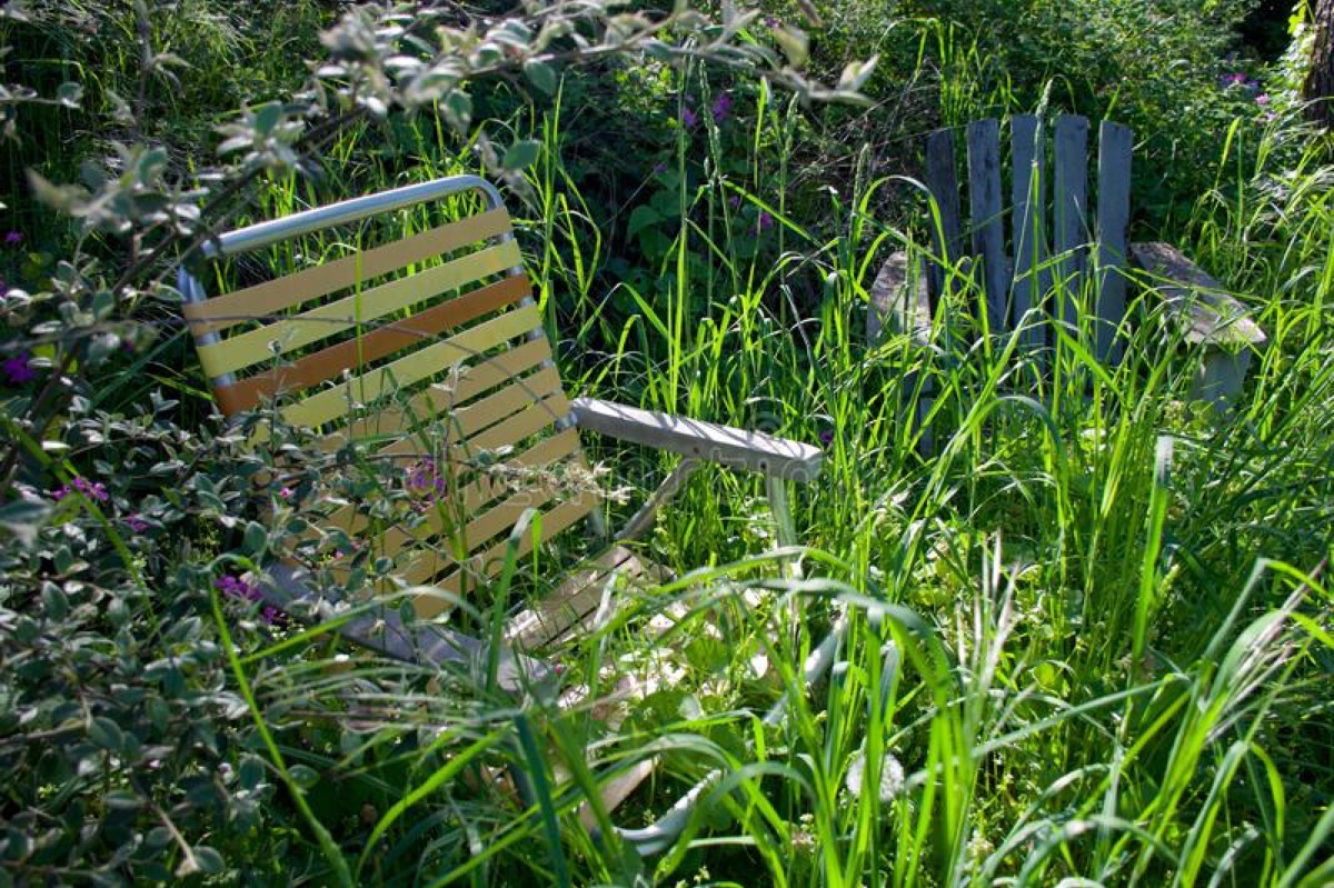 Property Cleanups